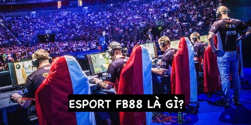 Sơ lược về Esport FB88 cho tân thủ